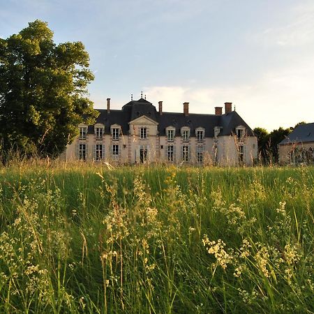 Chateau La Touanne Loire Valley Baccon Luaran gambar