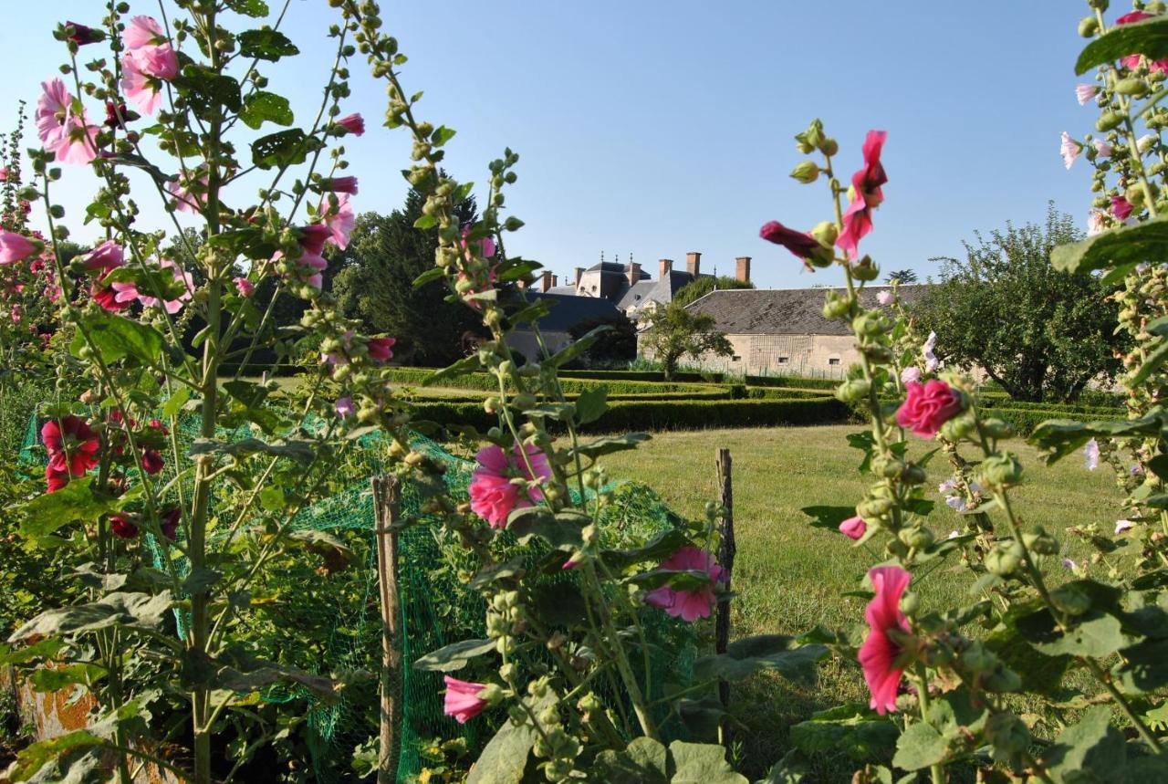 Chateau La Touanne Loire Valley Baccon Luaran gambar