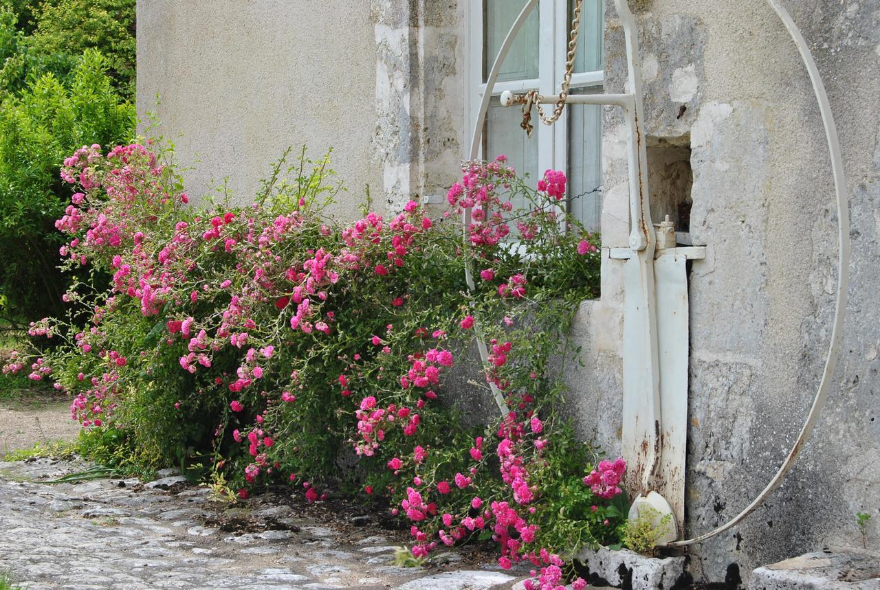Chateau La Touanne Loire Valley Baccon Luaran gambar